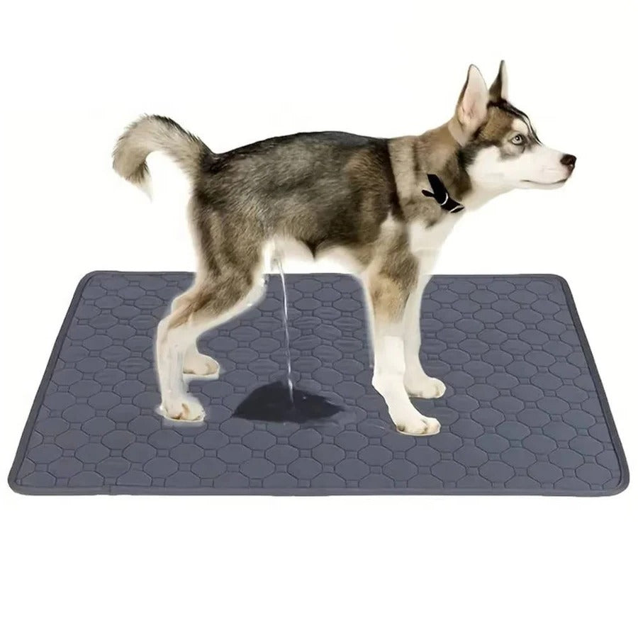 Hundeunterlagen für die Stubenreinheit – Einmal- und Mehrwegoptionen