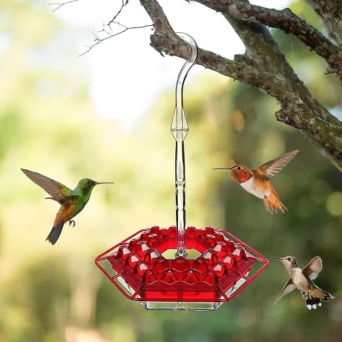 Hängende Kolibri-Futterstation mit Insektenschutz und stabilem Sitz