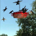 Hängende Kolibri-Futterstation mit Insektenschutz und stabilem Sitz