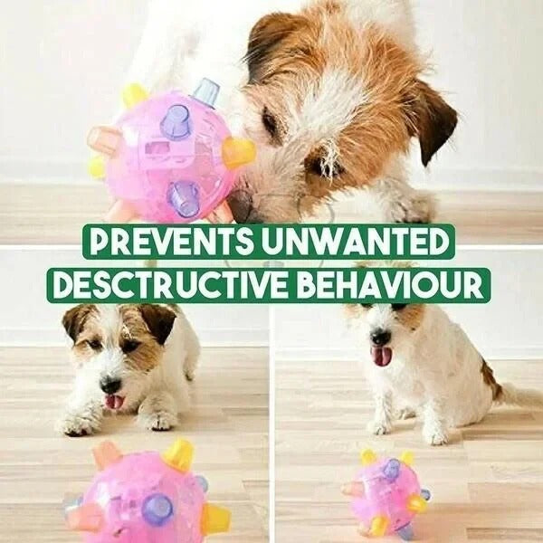 Aktive Spielkugel für Hunde – Interaktives Sprungspielzeug