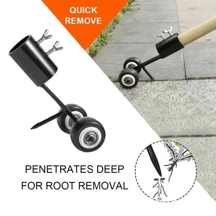 Adjustable Weed Remover for Driveway and Patio Gaps