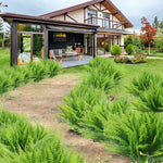 Artificial Boston Fern for Balcony and Patio – Easy Care and UV-Resistant