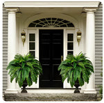 Artificial Boston Fern for Balcony and Patio – Easy Care and UV-Resistant