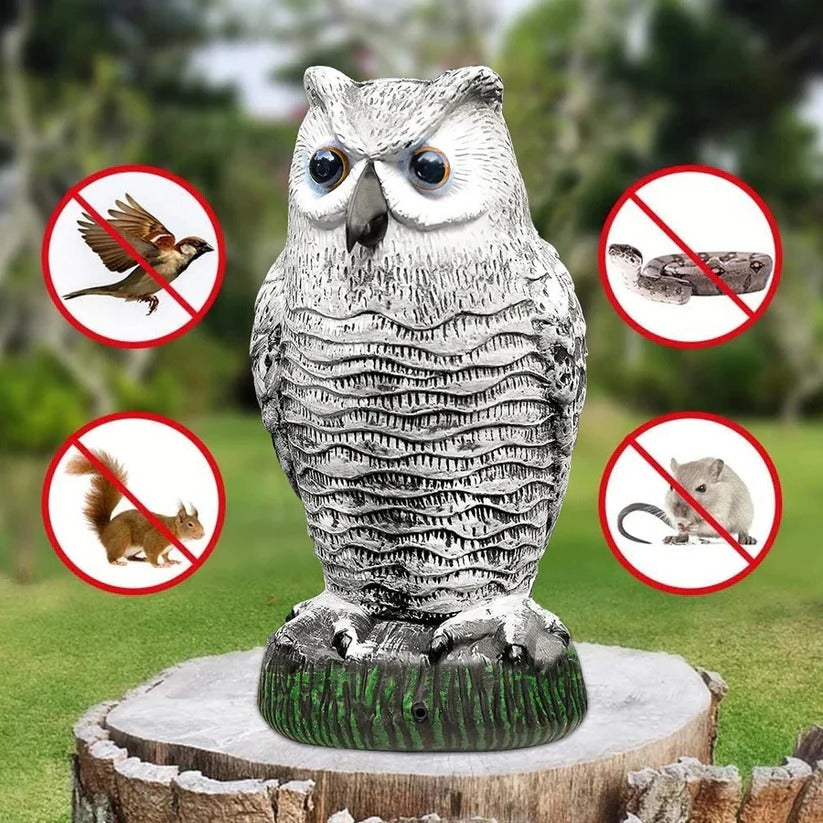 Lifelike Owl Decoy – Effective Bird Repellent