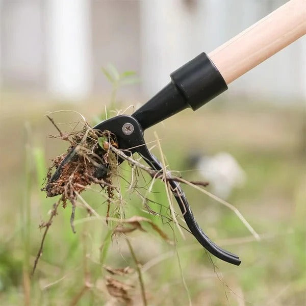 Robuster Unkrautentferner mit Edelstahlkrallen für müheloses Arbeiten
