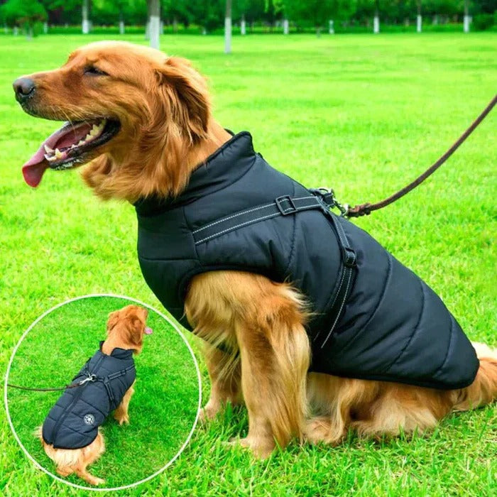 Waterproof Winter Dog Jacket with Fleece Lining and Integrated Leash Attachment