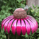 Robust bird feeder for your garden