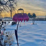Robust bird feeder for your garden