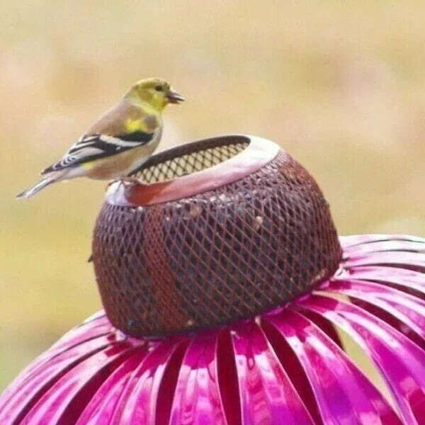 Robust bird feeder for your garden