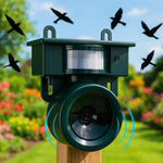 Solar-powered bird repeller with motion sensor