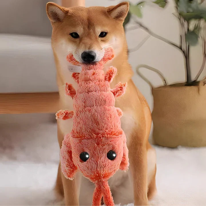 Vibrant Lobster Dog Toy – Interactive Fun
