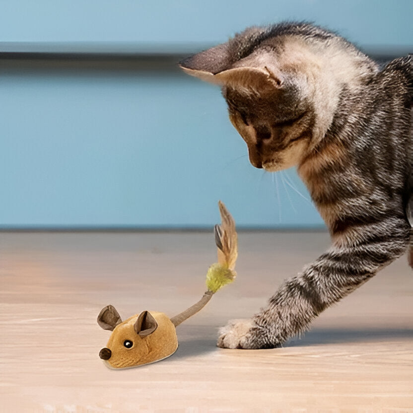 Interactive Pet Mouse Toy with Motion Sensor