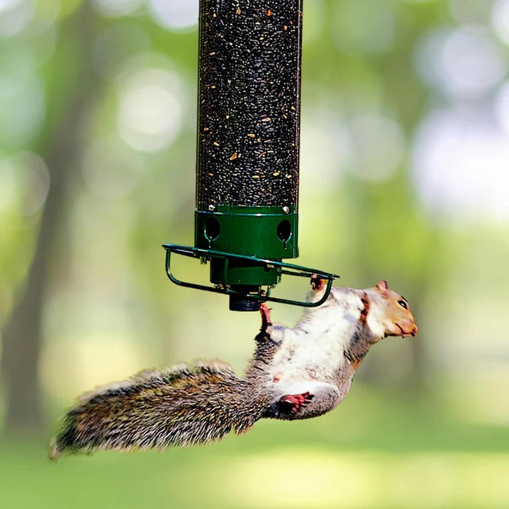 Bird feeder with squirrel guard