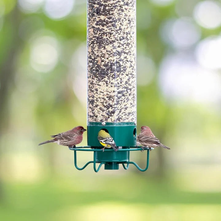 Vogelfutterspender mit Nussabwehrmechanismus