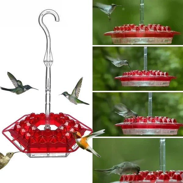 Hängender Kolibri-Nektarspender mit Insektenschutz
