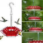 Hanging Hummingbird Nectar Feeder with Ant Moat