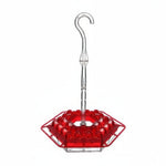 Hanging Hummingbird Nectar Feeder with Ant Moat