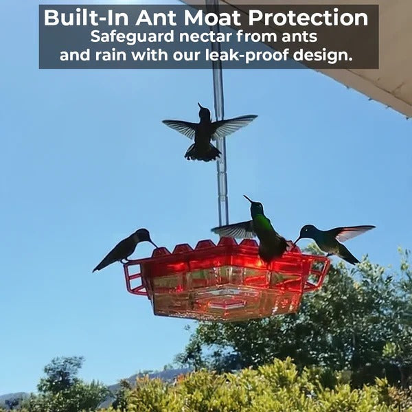 Hanging Hummingbird Nectar Feeder with Ant Moat