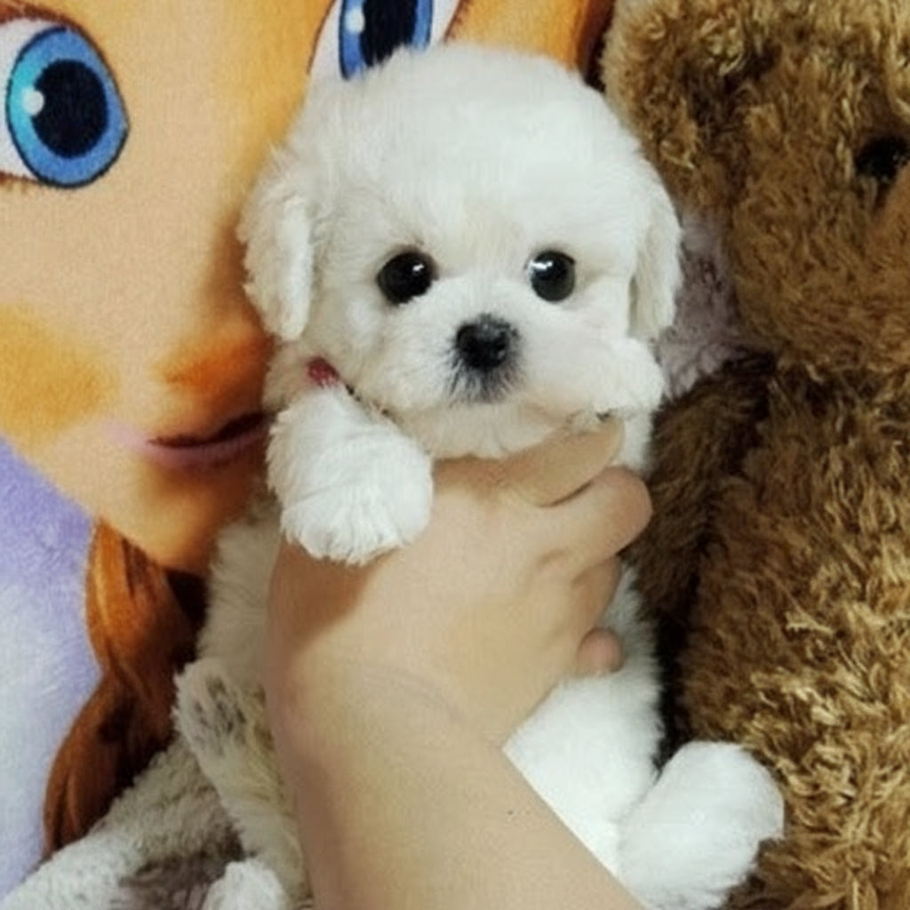 Plush toy with synthetic fur and heavy filling material