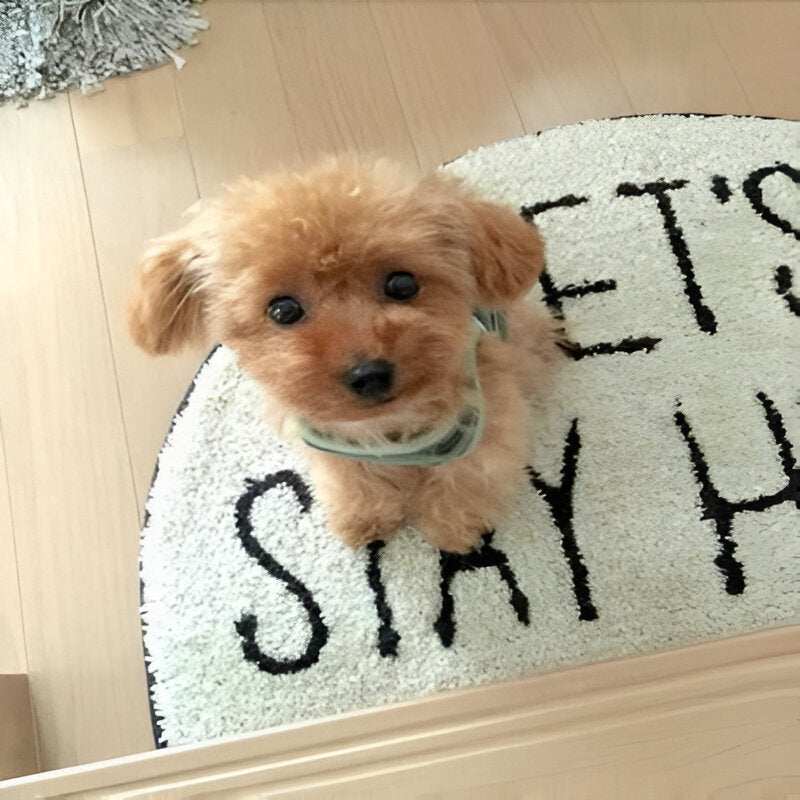 Plush toy with synthetic fur and heavy filling material