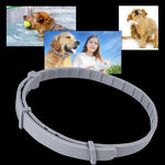 Adjustable Pet Collar for Dogs and Cats with Insect Protection