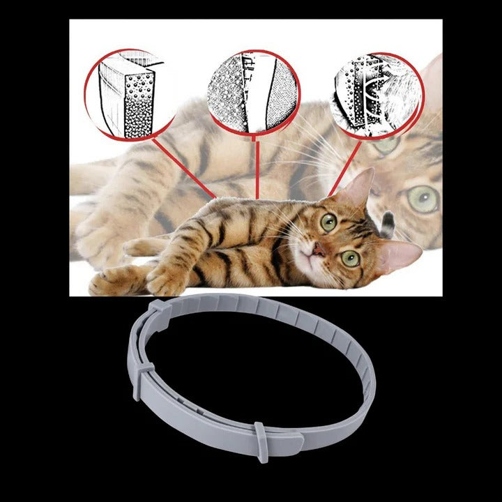 Adjustable Pet Collar for Dogs and Cats with Insect Protection