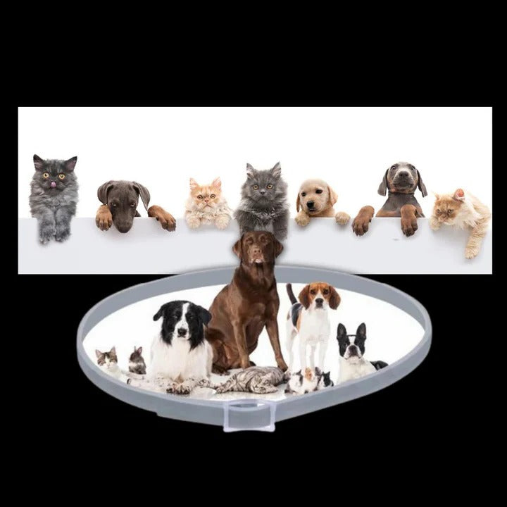 Adjustable Pet Collar for Dogs and Cats with Pest Repellent
