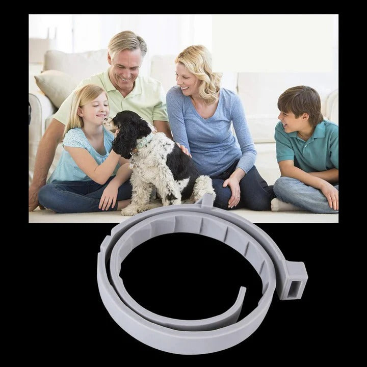 Adjustable Pet Collar for Dogs and Cats with Insect Protection