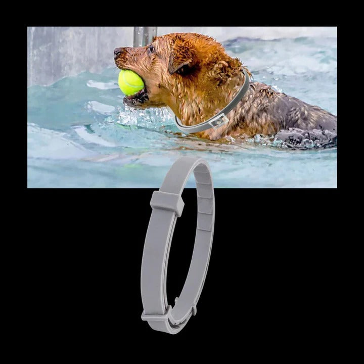 Adjustable Pet Collar for Dogs and Cats with Insect Protection