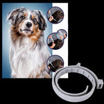 Adjustable Pet Collar for Dogs and Cats with Pest Repellent