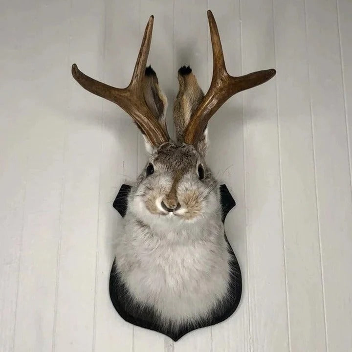 Plaque-Style Wall Decor with Unique Design