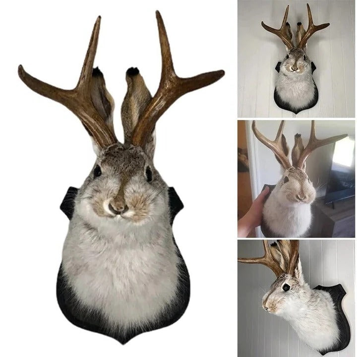 Plaque-Style Wall Decor with Unique Design