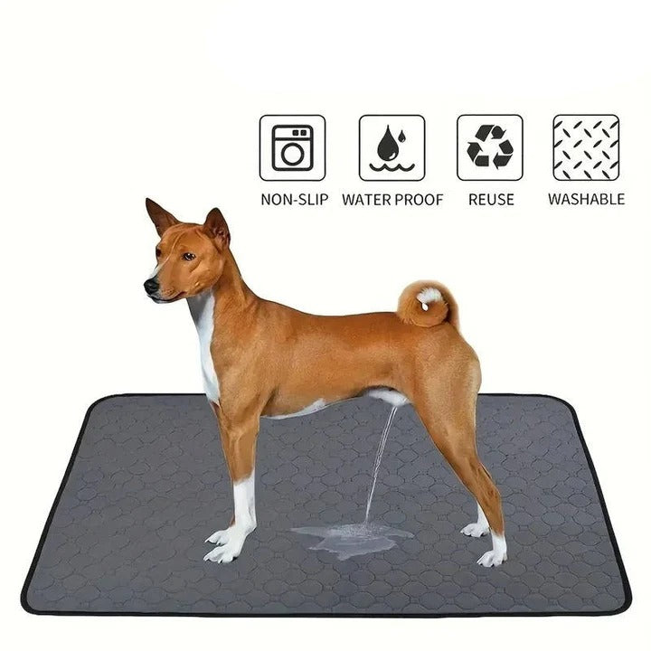Reusable 4-Layer Dog Training Pad