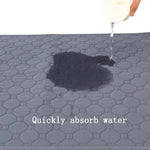 Reusable 4-Layer Dog Training Pad
