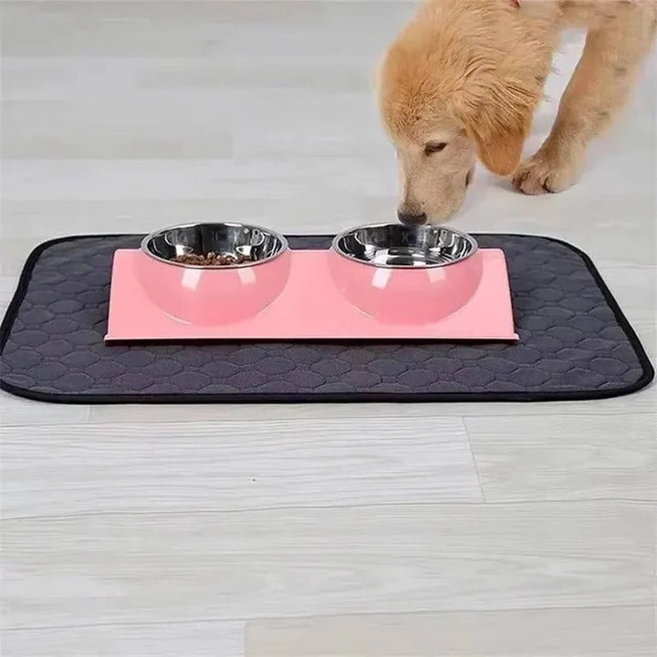 Reusable 4-Layer Dog Training Pad