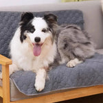 Reusable 4-Layer Dog Training Pad