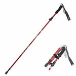Adjustable trekking pole for any hike