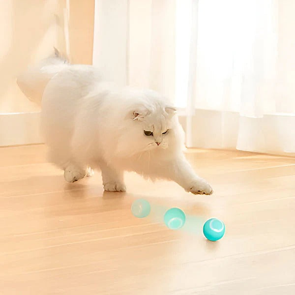 Interactive Pet Play Ball with USB Charging Function