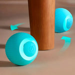 Interactive Pet Play Ball with USB Charging Function
