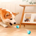 Interactive Pet Play Ball with USB Charging Function