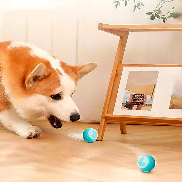 Interactive Pet Play Ball with USB Charging Function