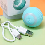 Interactive Pet Play Ball with USB Charging Function