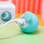 Interactive Pet Play Ball with USB Charging Function