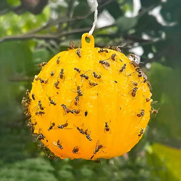 Effektive Fliegenfänger mit Klebeschicht, Set von 6 Stück
