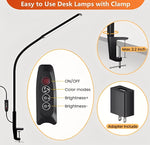 Adjustable LED Desk Lamp with Clamp Base and 3 Light Modes