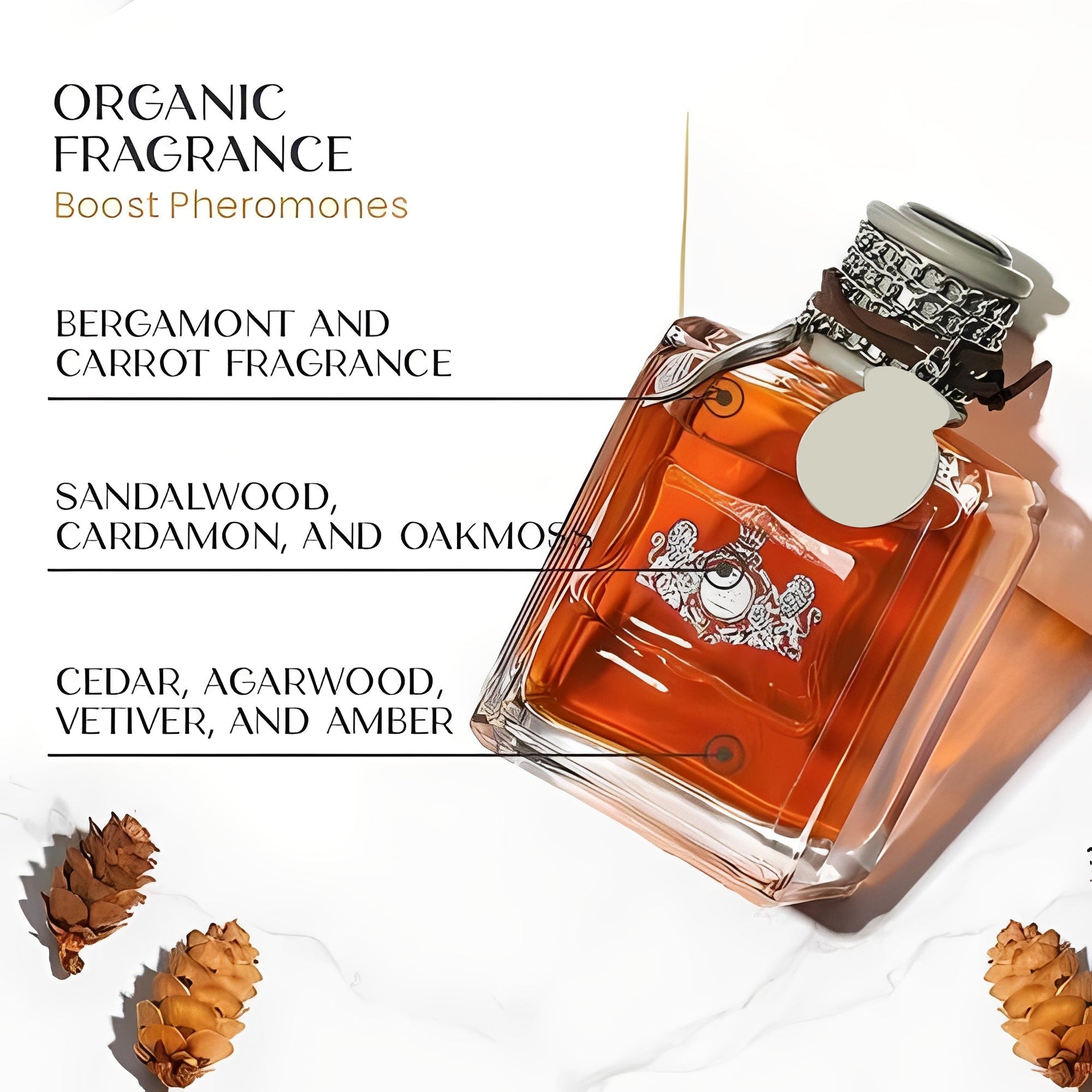 Men's perfume with an alluring fragrance spray