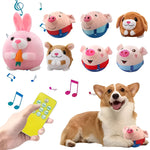 Interaktiver Spielball für Hunde mit Musik und Bewegung