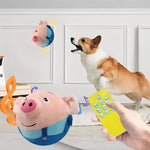 Interactive play ball with music and motion sensor