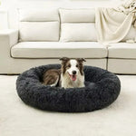 Cozy Pet Bed with Soft Design
