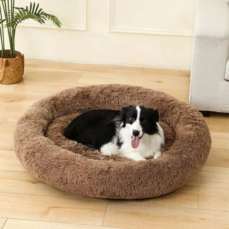 Cozy Pet Bed with Soft Design